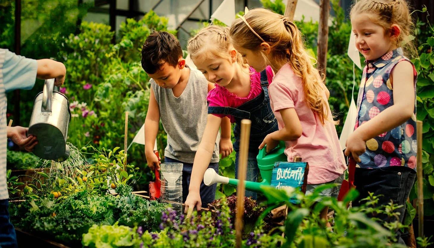 Farm fresh food