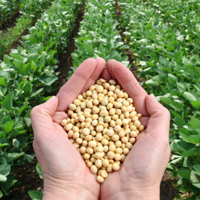 OPG Petrlić Željko