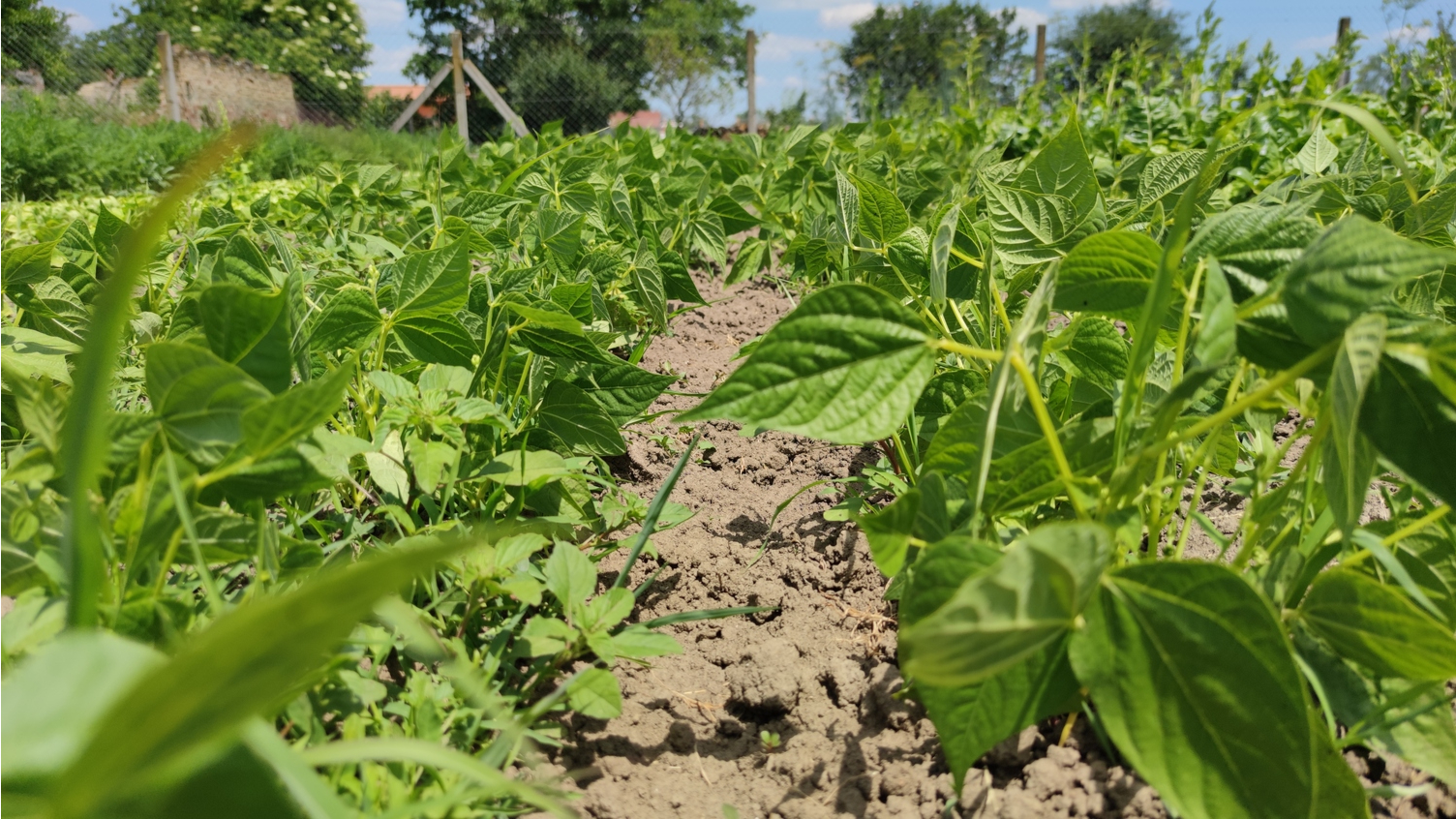 Minijatura galerije 4