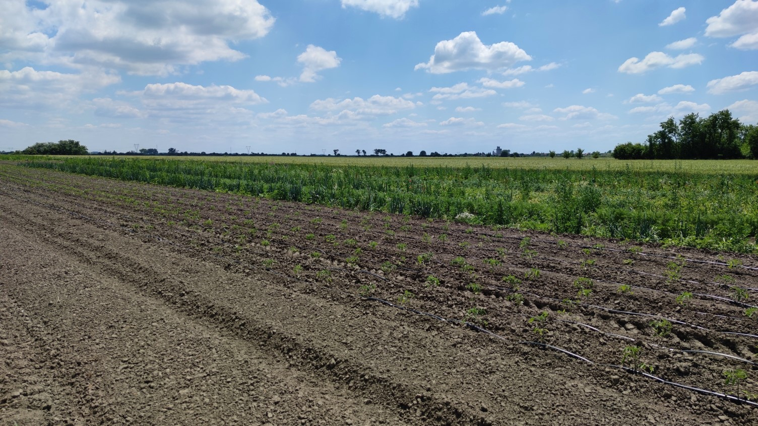 Minijatura galerije 6