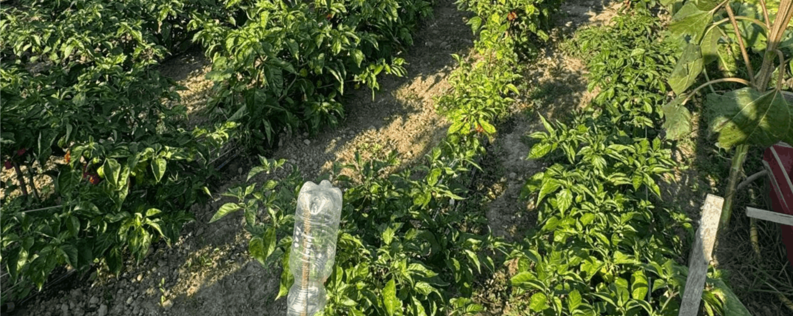 Minijatura galerije 2