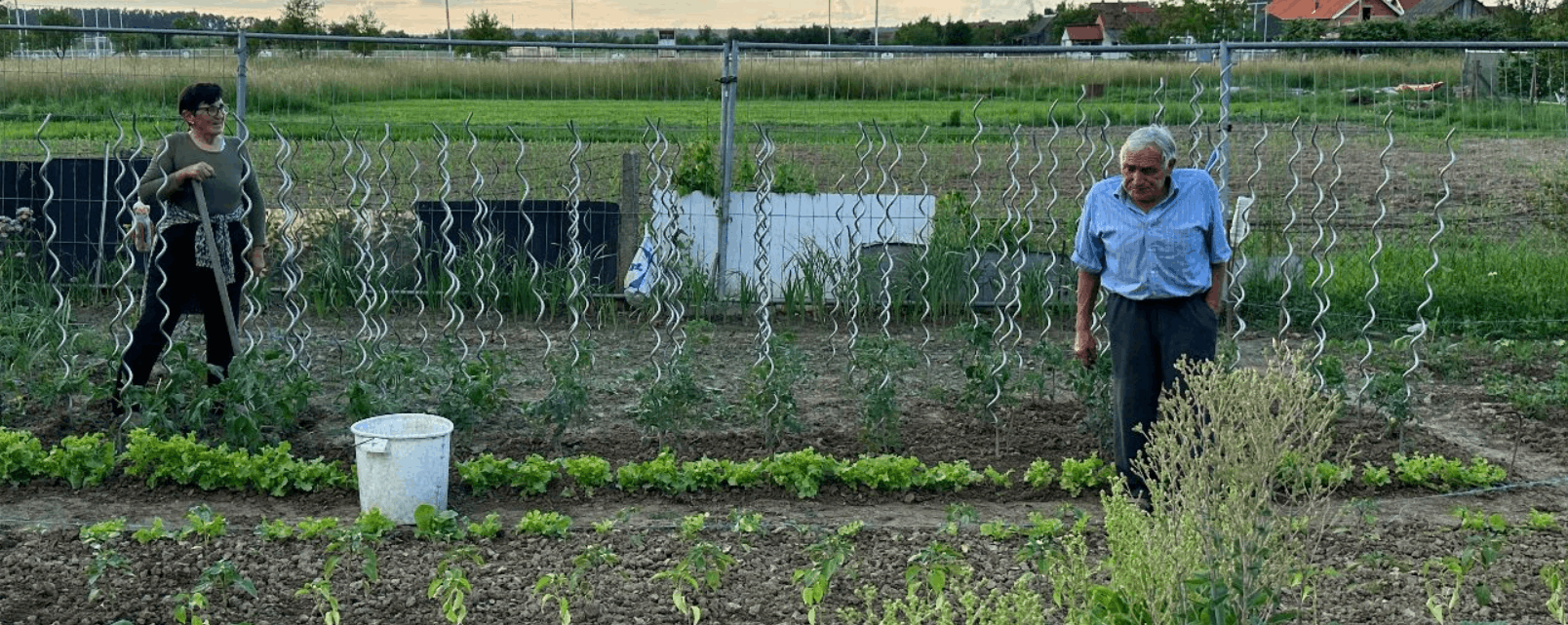 Minijatura galerije 3