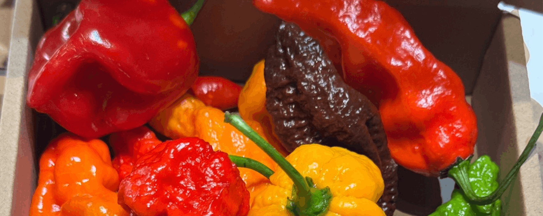 Minijatura galerije 4