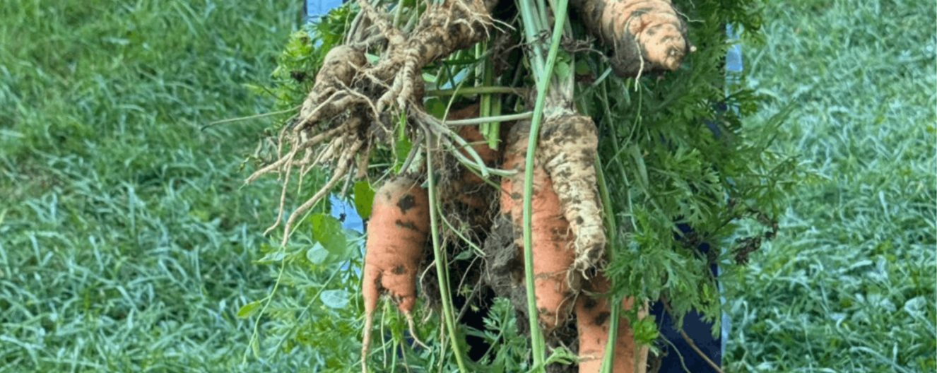 Minijatura galerije 5