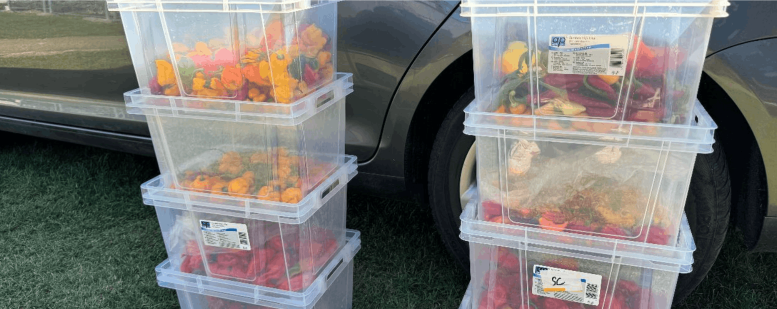 Minijatura galerije 7