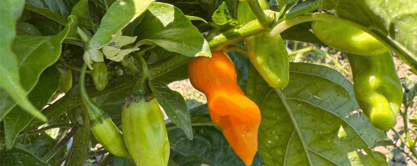 Minijatura galerije 9