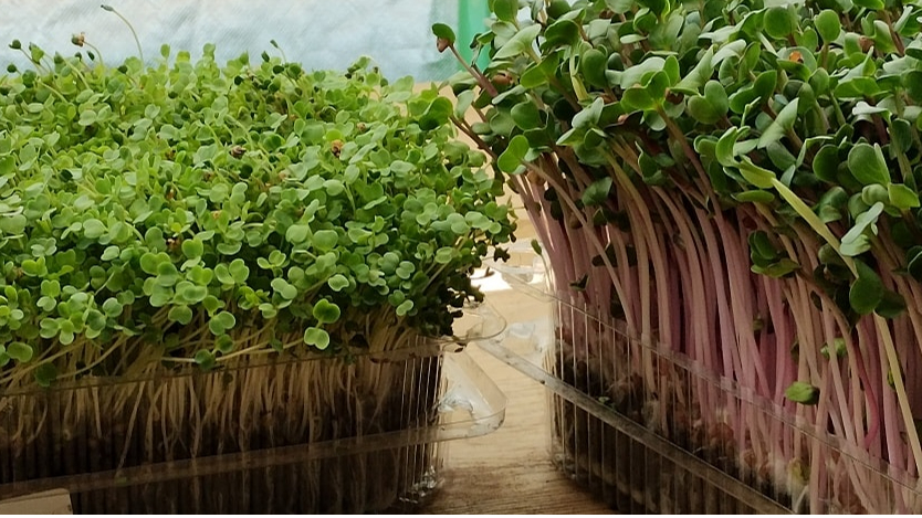 Minijatura galerije 2