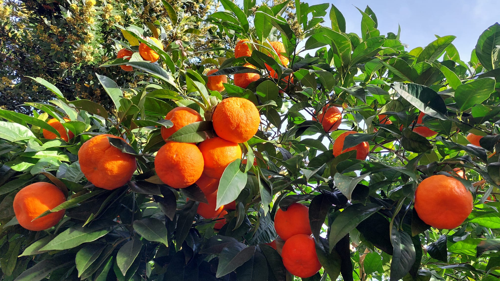 Minijatura galerije 3