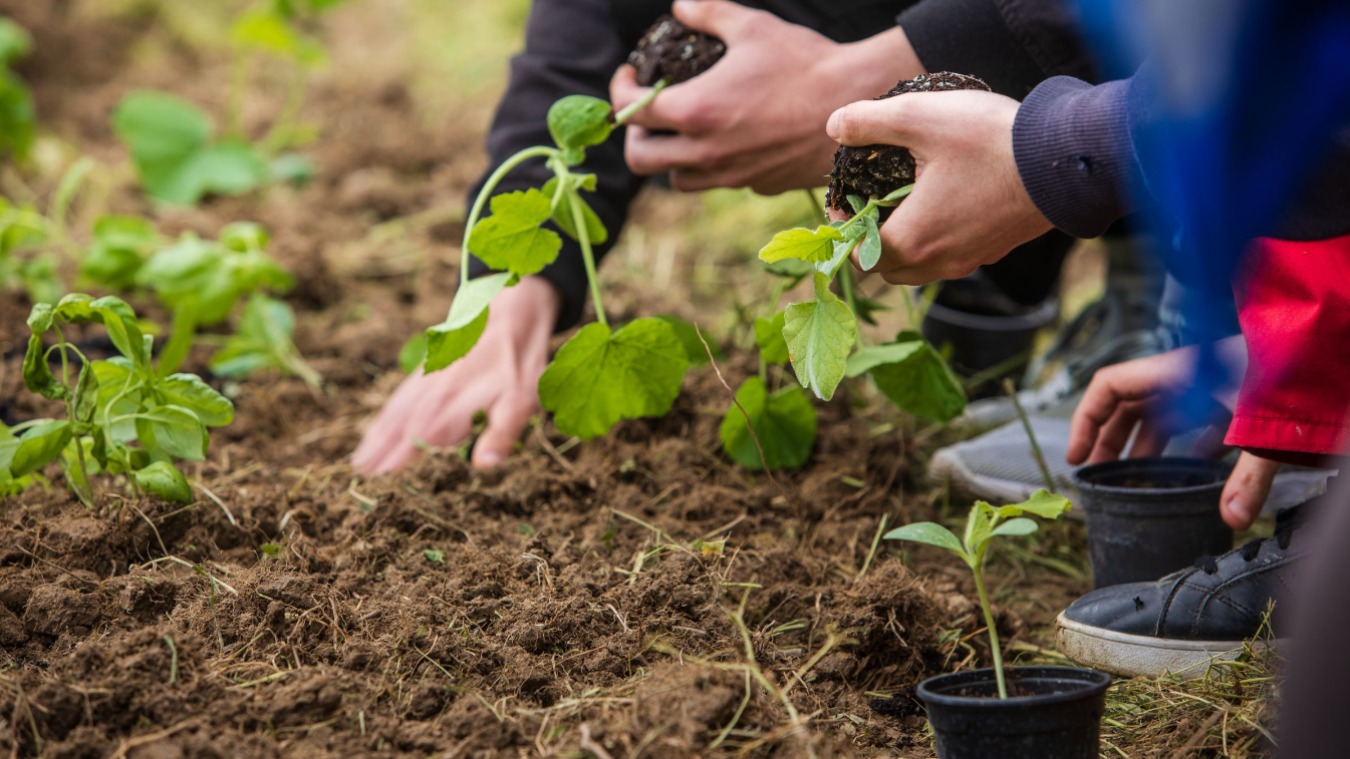 Minijatura galerije 8