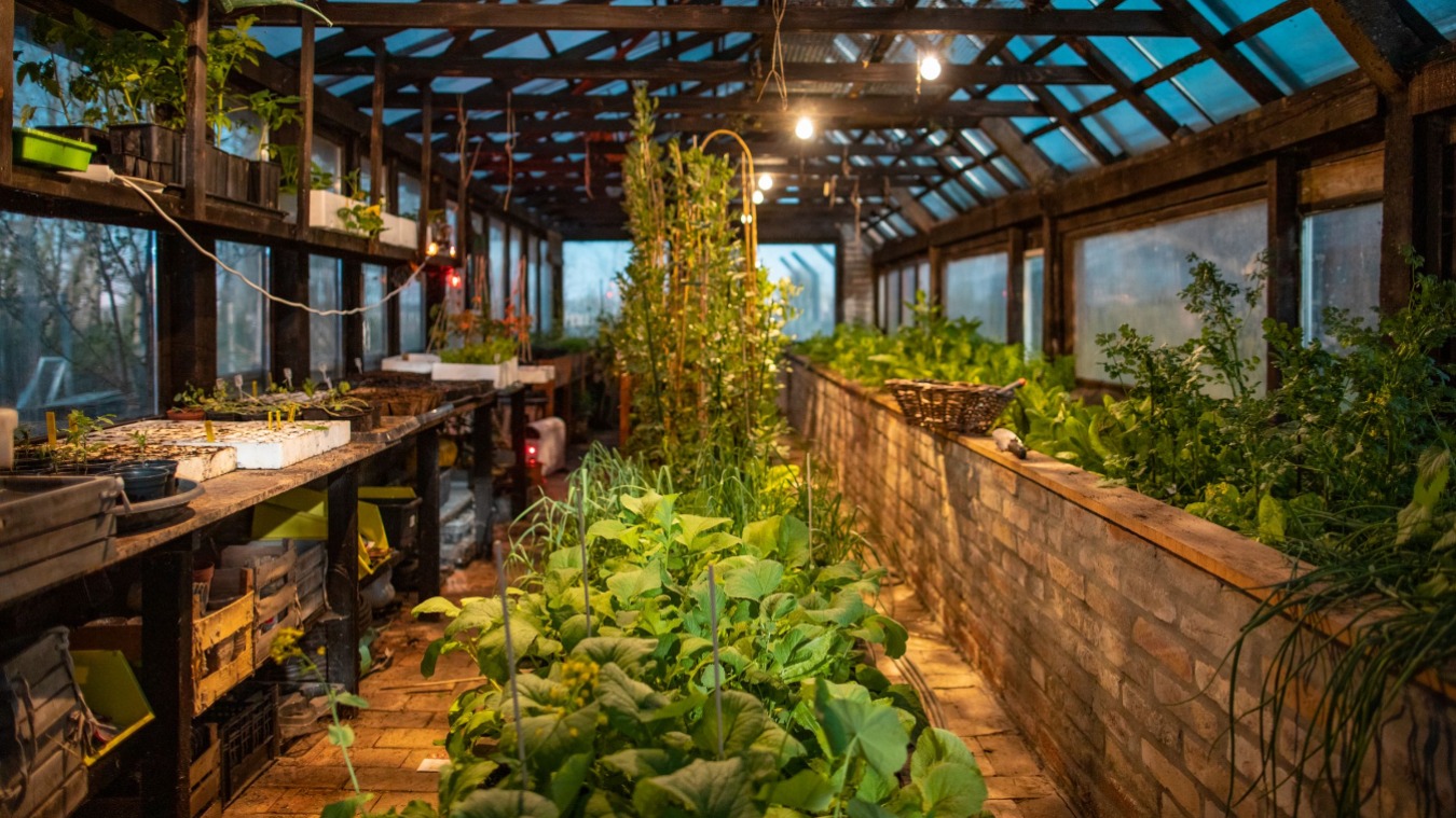 Minijatura galerije 5