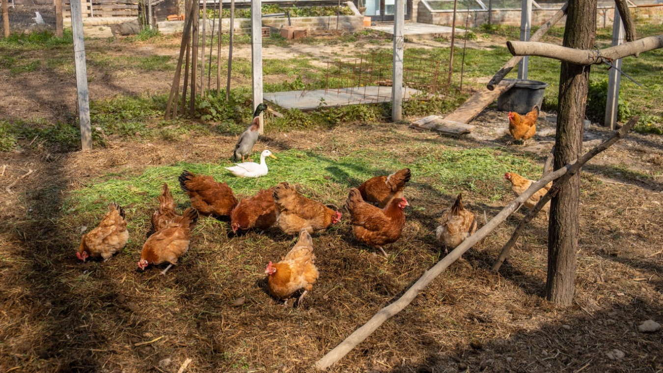 Minijatura galerije 7