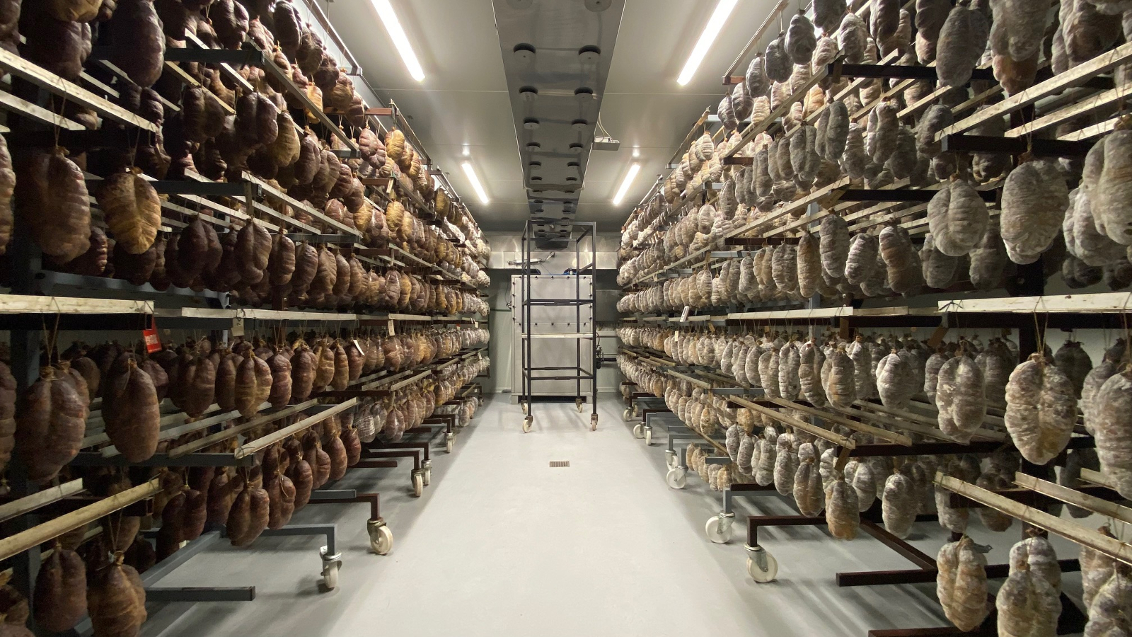 Minijatura galerije 4