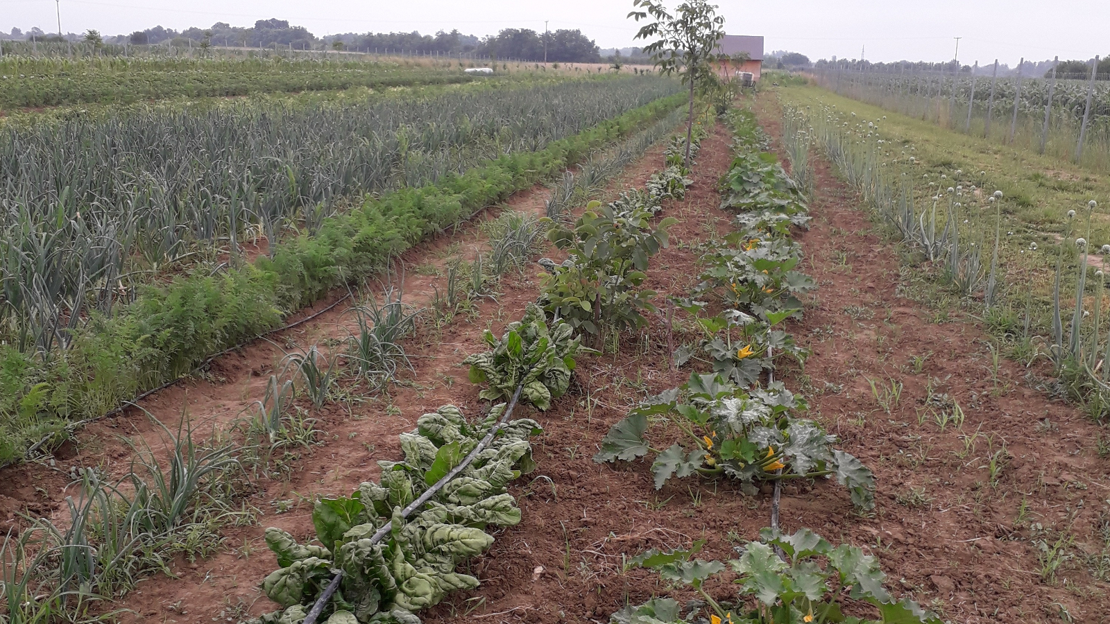 Minijatura galerije 3