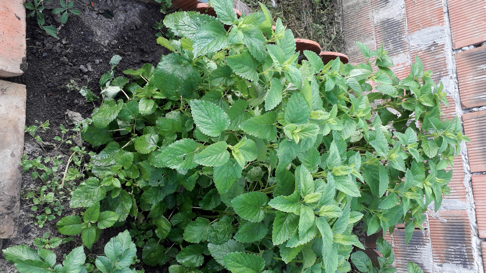 Minijatura galerije 2