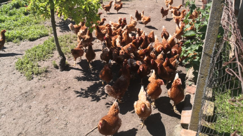 Minijatura galerije 2