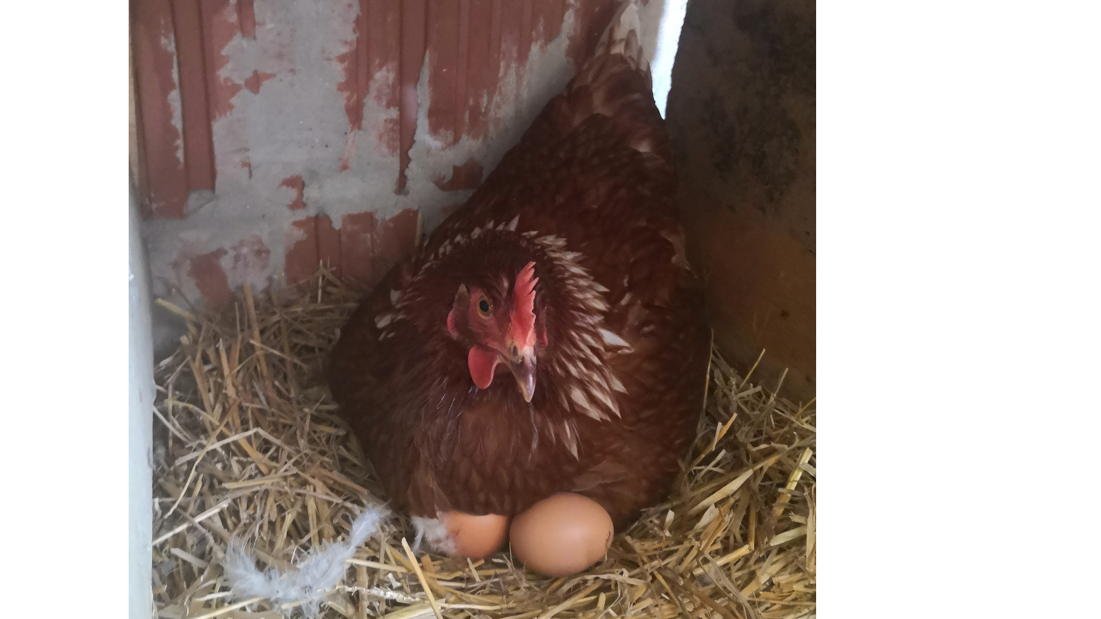 Minijatura galerije 3