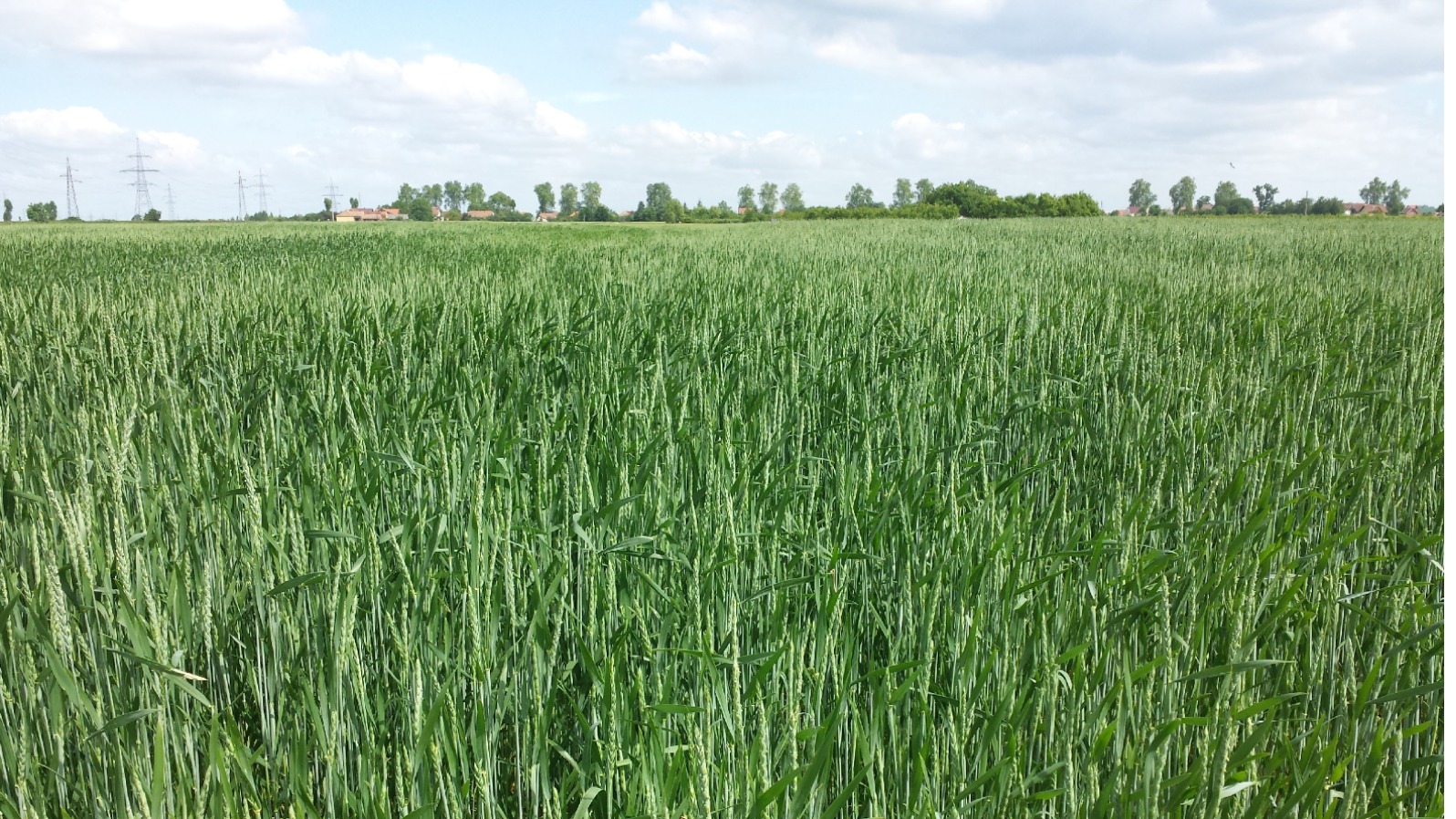 Minijatura galerije 2