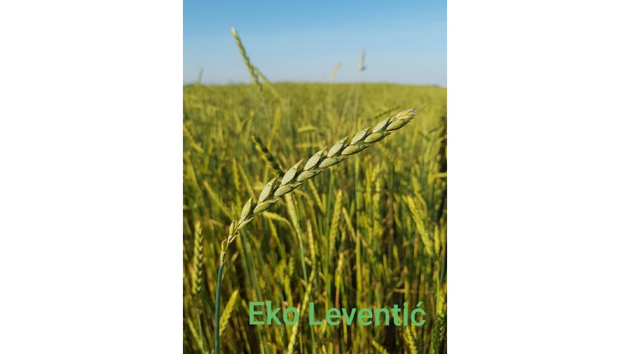 Minijatura galerije 3