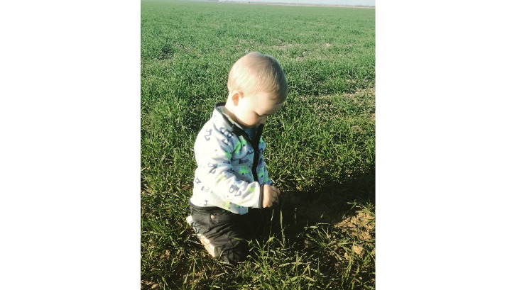 Minijatura galerije 5