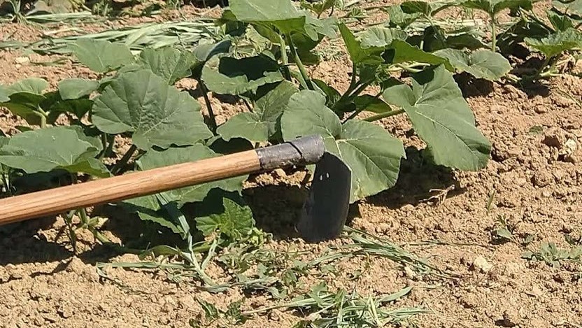 Minijatura galerije 13