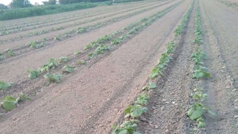 Minijatura galerije 12