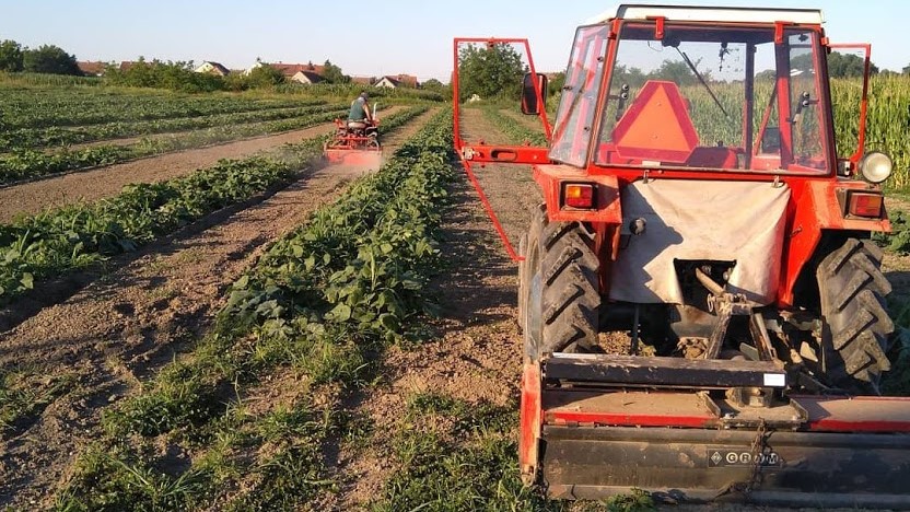 Minijatura galerije 5