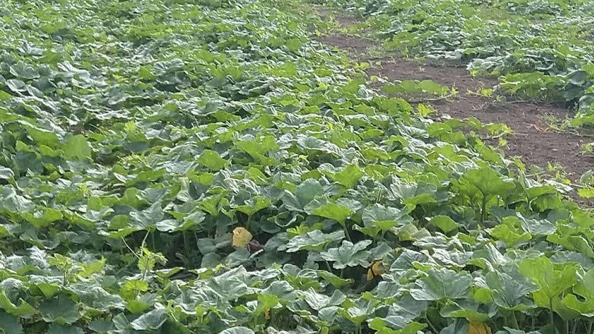 Minijatura galerije 15