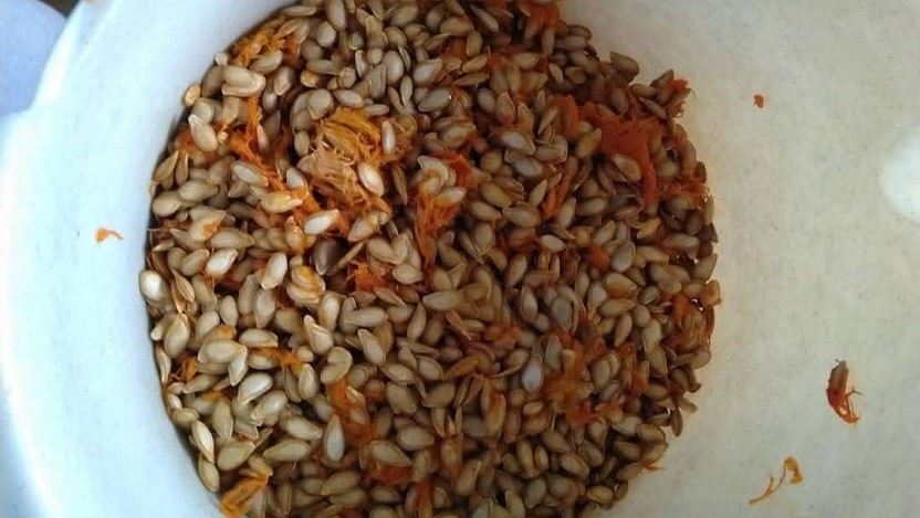 Minijatura galerije 8