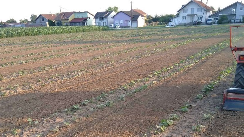 Minijatura galerije 11