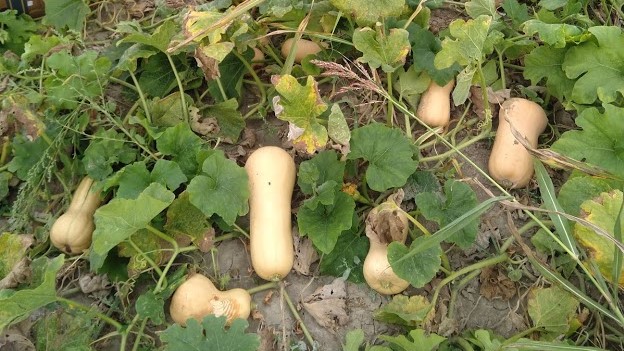 Minijatura galerije 6