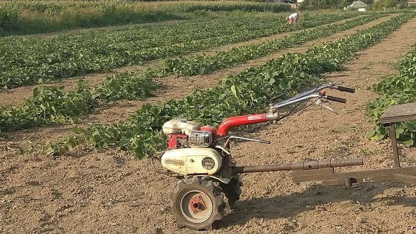 Minijatura galerije 14