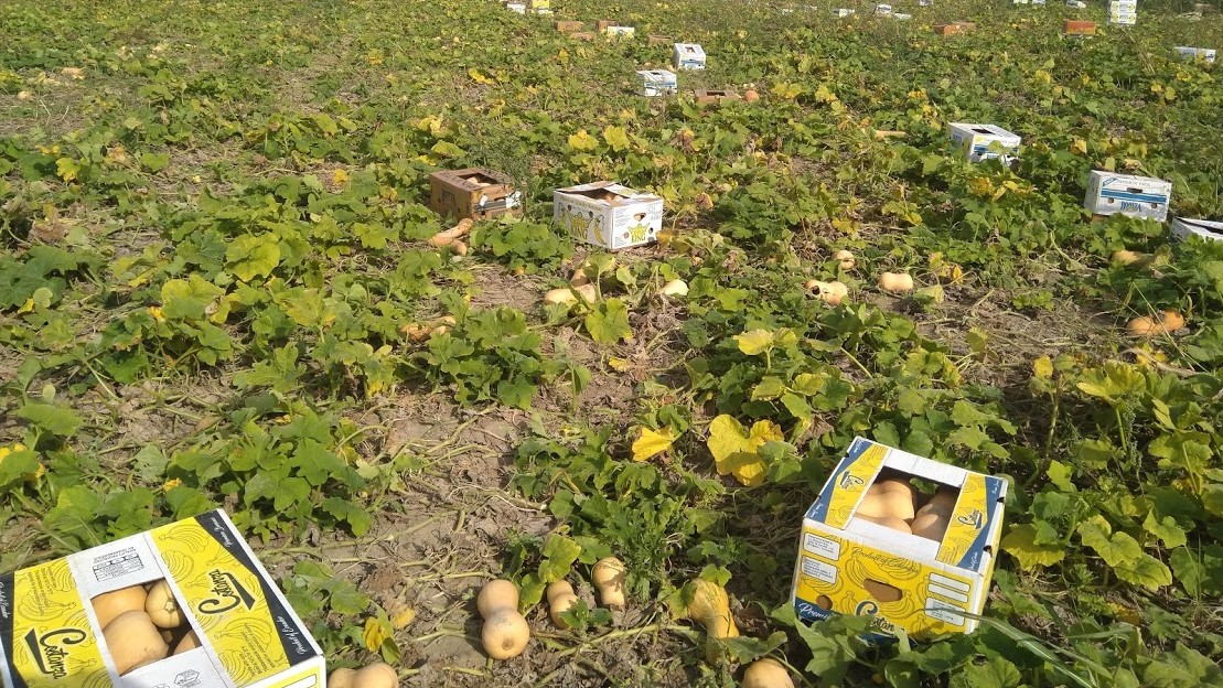 Minijatura galerije 7