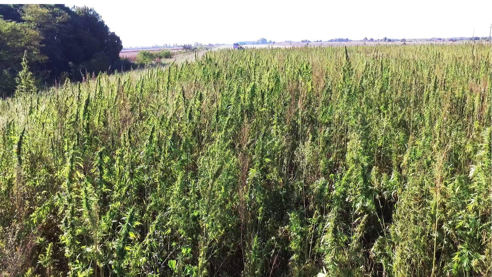 Minijatura galerije 2