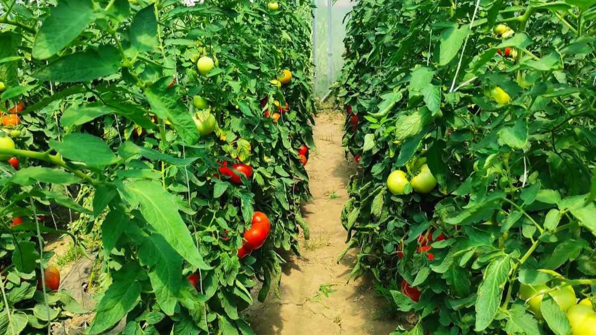 Minijatura galerije 2