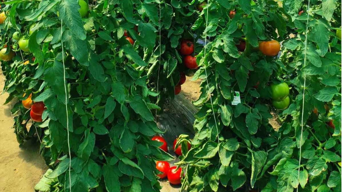 Minijatura galerije 3