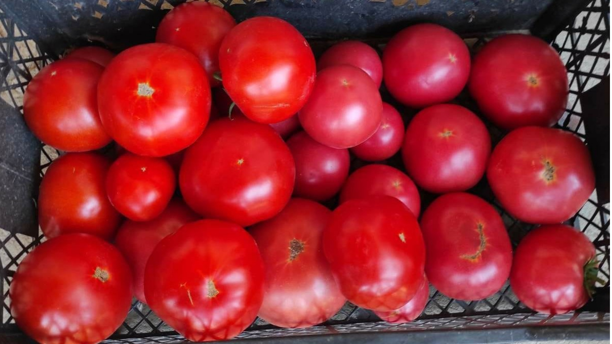 Minijatura galerije 6