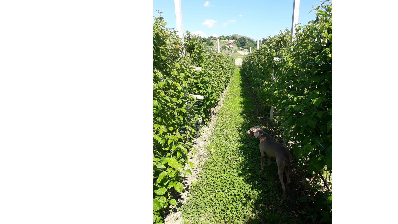 Minijatura galerije 4