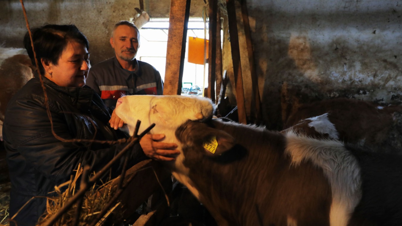 Minijatura galerije 3