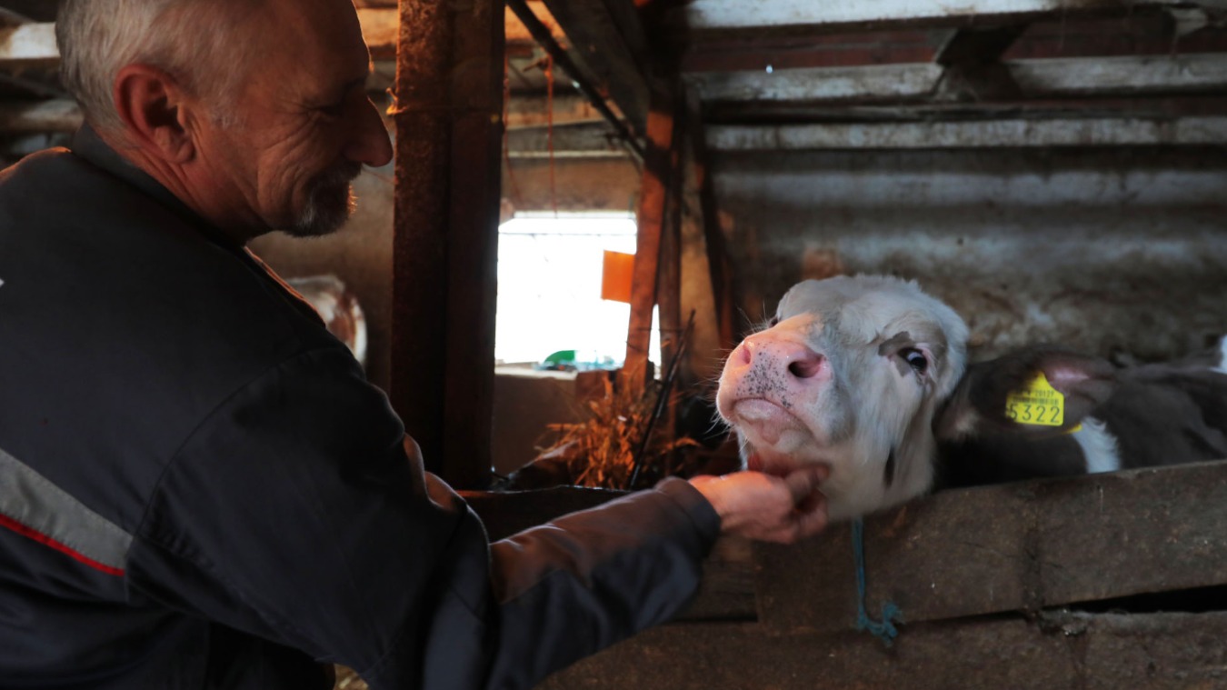 Minijatura galerije 4