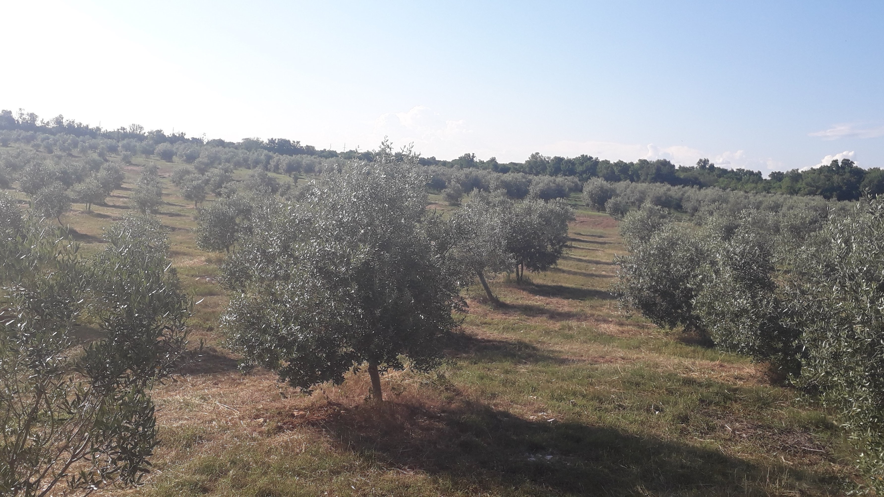 Minijatura galerije 3