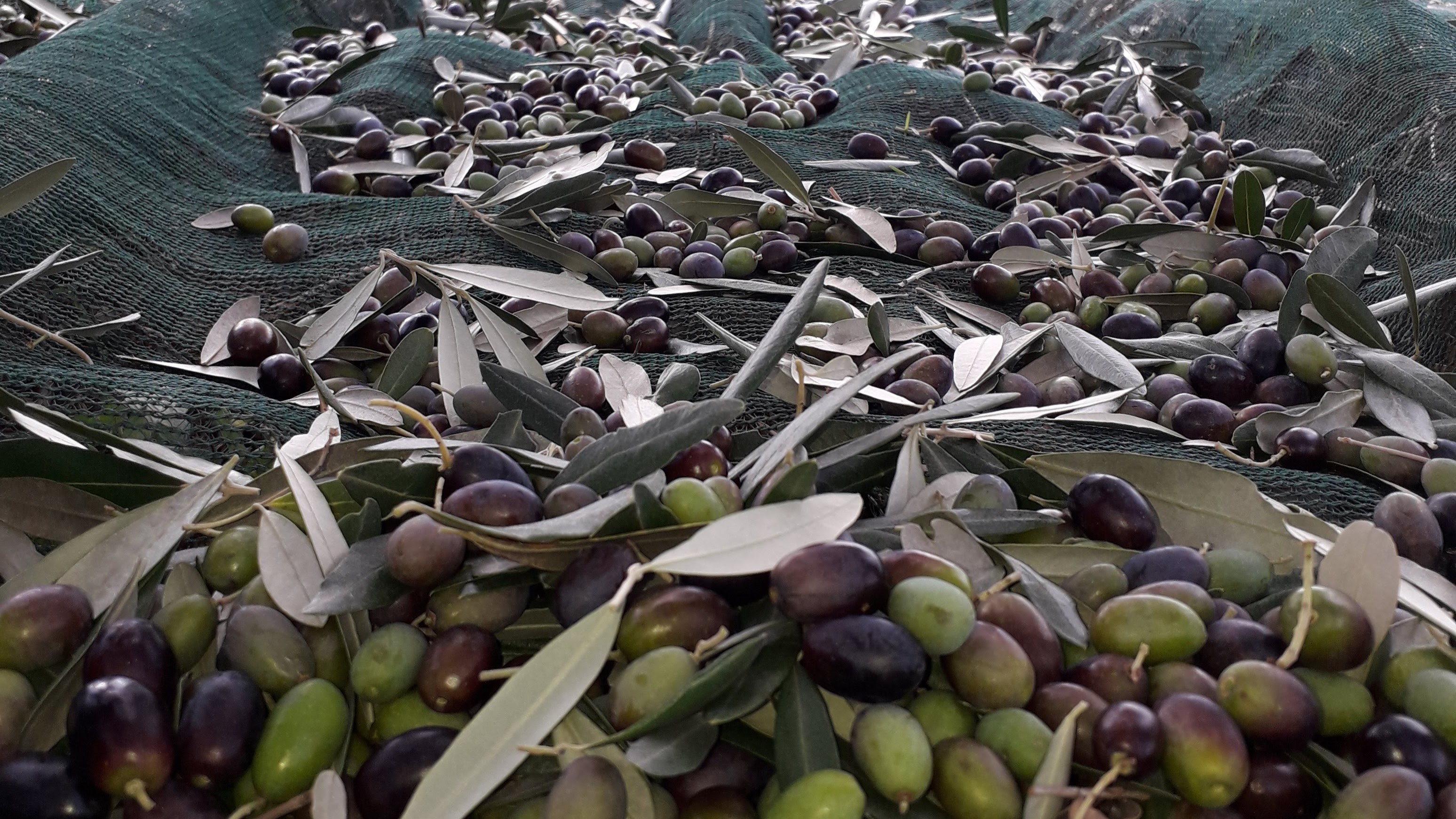 Minijatura galerije 2