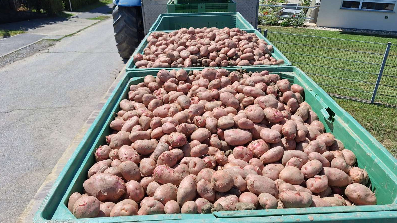 Minijatura galerije 4