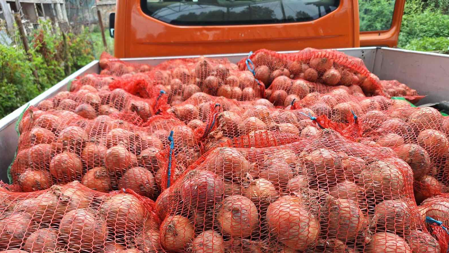 Minijatura galerije 5