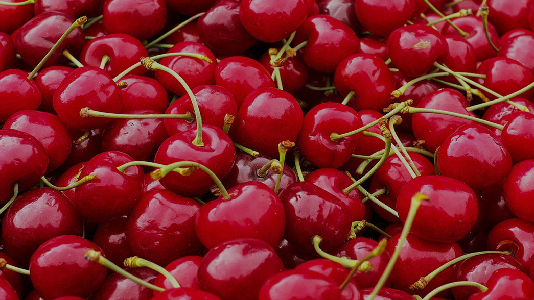 Minijatura galerije 2