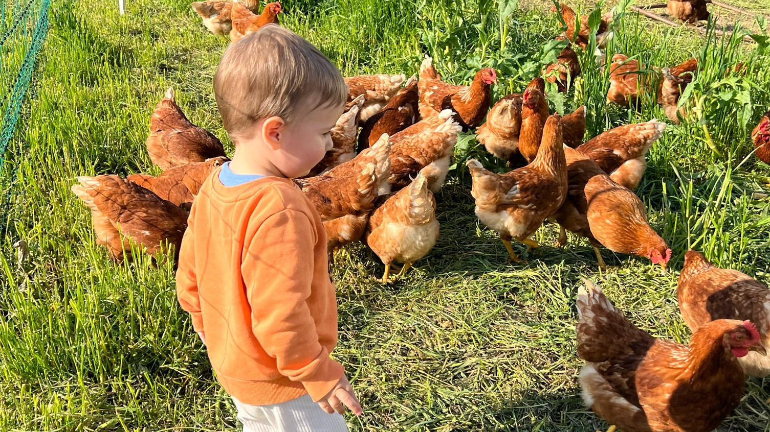 Minijatura galerije 3