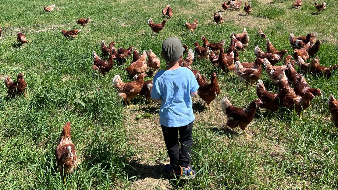 Minijatura galerije 2