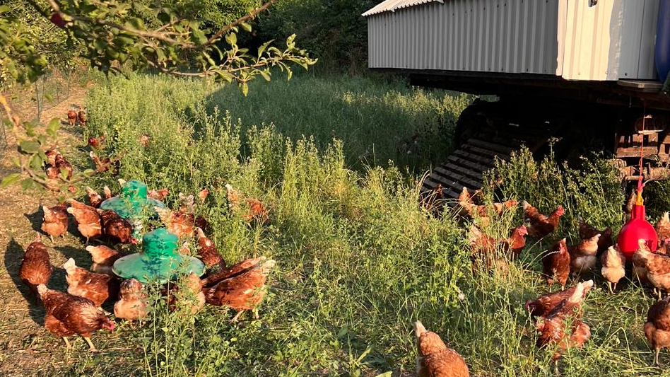 Minijatura galerije 4