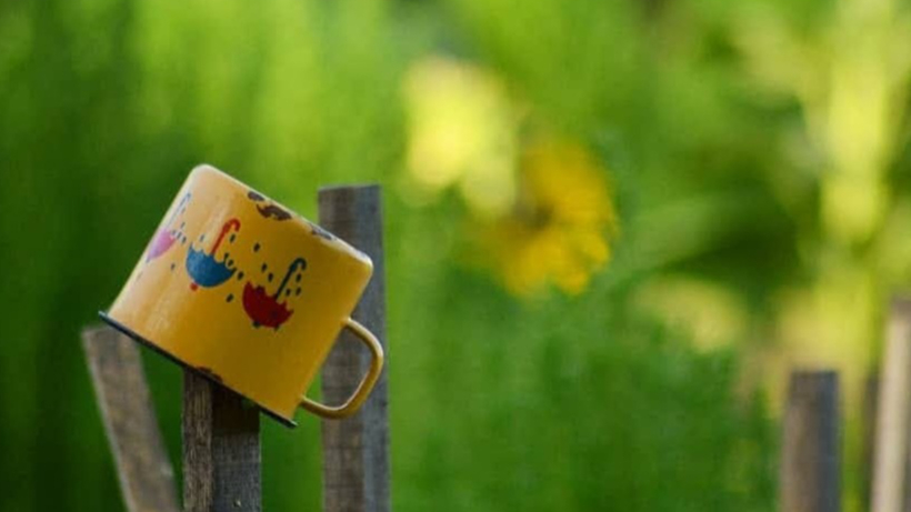 Minijatura galerije 5