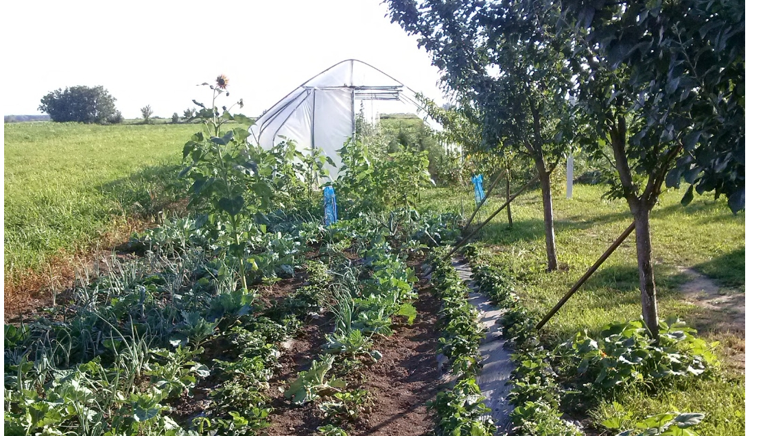 Minijatura galerije 3