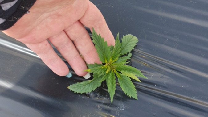 Minijatura galerije 2